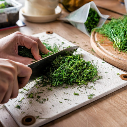 W1093 DILL DILLSAMEN FRÜH ZUM BEIZEN 5G