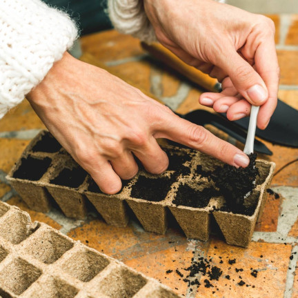 TG67368 Torf Pflanzentöpfe für Setzlinge 10 Schalen 120 Stück