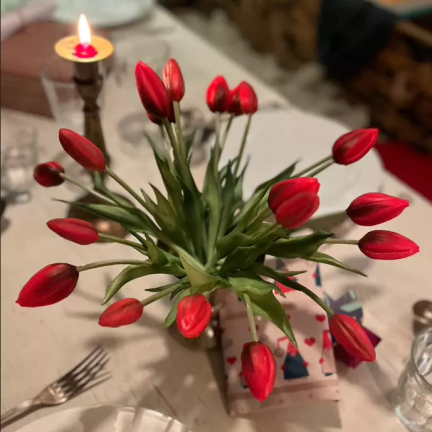 CV07588-10 JEDNODUCHÝ POGUMOVANÝ TULIPÁN ČERVENÝ JAKO ŽIVÝ