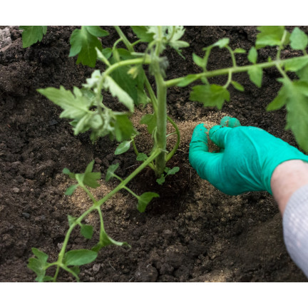 Organic fertilizer for tomatoes, BIO granules, natural, Biovita 3 kg