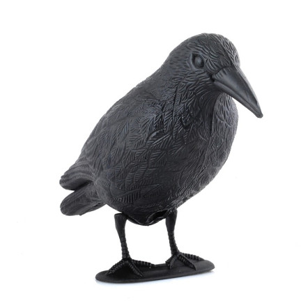 AP8 Large Raven Bird Repeller for Pigeons and Starlings