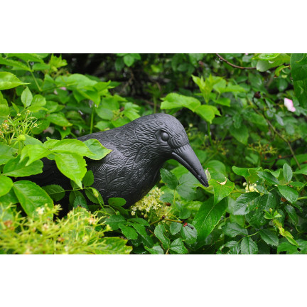 AP8 Large Raven Bird Repeller for Pigeons and Starlings
