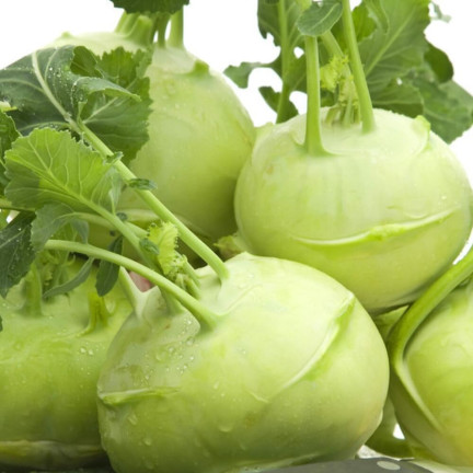 W1075 Giant kohlrabi seeds, white flesh, tasty, non-woody, high yield, plenty of flesh1G