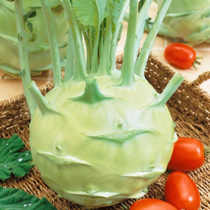 W1075 Giant kohlrabi seeds, white flesh, tasty, non-woody, high yield, plenty of flesh1G