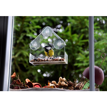 TG80446 VOGELFÜTTERUNG TRANSPARENTES FENSTER FENSTER SAMEN SONNENBLUMENFUTTER