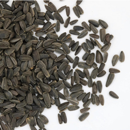 TUR5 ČERNÁ SLUNEČNICOVÁ SEMENA ZIMNÍ SMĚS PRO PTÁKY 1KG