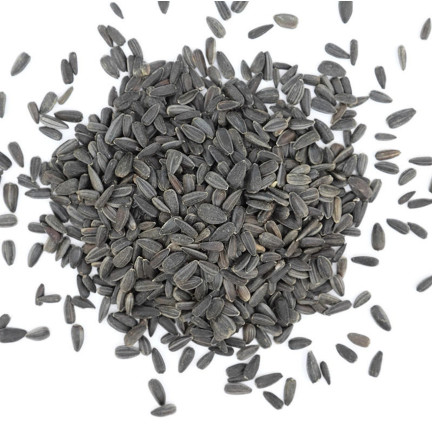 TUR5 ČERNÁ SLUNEČNICOVÁ SEMENA ZIMNÍ SMĚS PRO PTÁKY 1KG