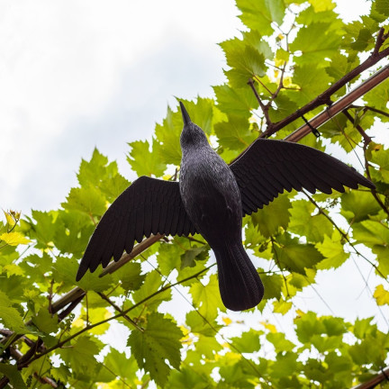 TG60298 RABE VOGELABSCHRECKUNG IM FLUG HÄNGEND GROSS FÜR BALKON