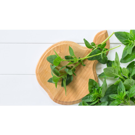 Z3026 OREGANO OREGANO BYLINNÁ SEMENA AROMATICKÁ BYLINA DO KAŽDÉ KUCHYNĚ 0,5G