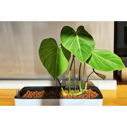 BIO13 JEMNÝ KERAMZIT 5L 4-8MM ZAHRADNICKÝ PŘÍRODNÍ DRENÁŽNÍ MATERIÁL PRO KVĚTINÁČE