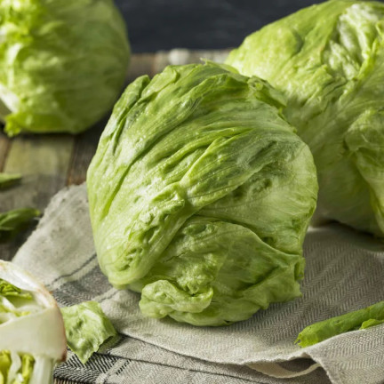 W1212 KNACKIGER EISBERGSALAT KÖNIGIN DES SOMMERS FRÜHGEMÜSESALAT SAMEN 1G
