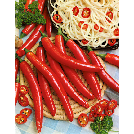 W1137 DE CAYENNE HOT CHILLI PFEFFERSAMEN PIKANT 0,5G