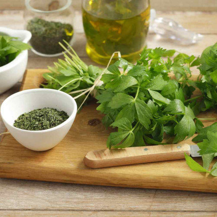 Z3017 LIEBSTÖCKEL GARTEN KRÄUTER SAMEN MEHRJÄHRIGE GEWÜRZ AROMATISCH MAGI 1G