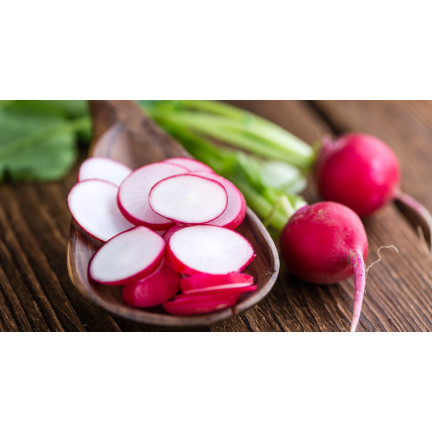 W1194 RADIESCHENSAMEN CARMEN ROT FRÜH MILD NICHT GESCHÄLT 10G