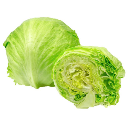 W1212 KNACKIGER EISBERGSALAT KÖNIGIN DES SOMMERS FRÜHGEMÜSESALAT SAMEN 1G