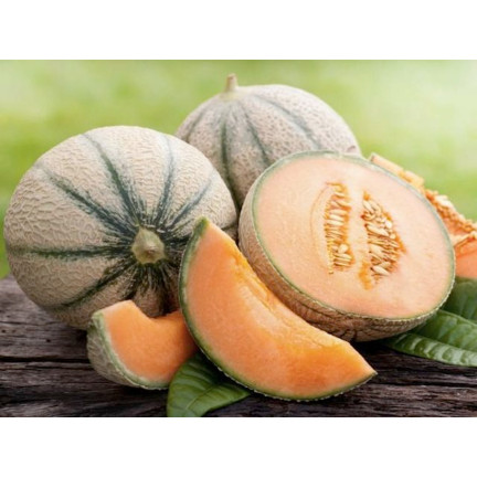 W1111 ZUCKERMELONENKERNE CHARENTAIS GROSS LECKER SAFTIG 1G