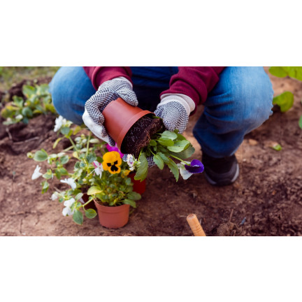 BIO7 BIOVITA UNIVERSALERDE 20L FÜR BLUMEN UND GRÜNPFLANZEN