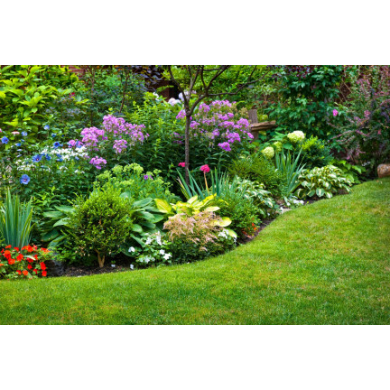 SUM26 SUMIN PLANT FERTILISER 1KG, Düngemittelgranulat, üppige Blüte