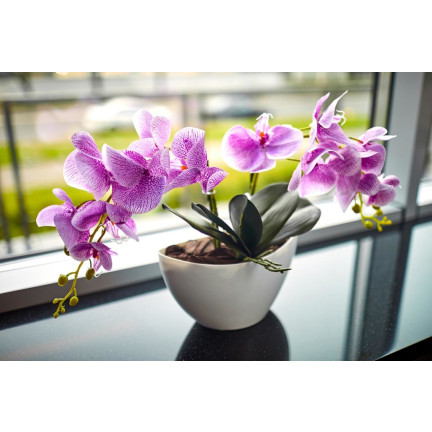 BIO8 NATÜRLICHES ORCHIDEENZUCHTMEDIUM 3L BIOVITA
