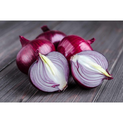 W1258 RED BARON RED CILIZON SEED für Salate 3G