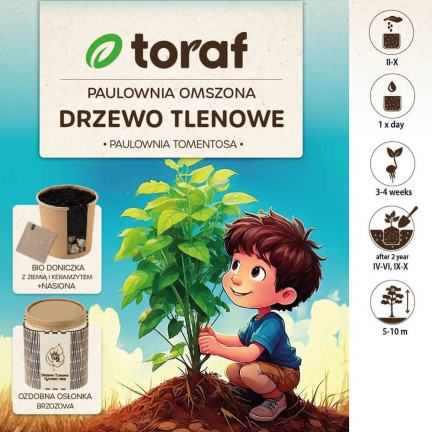 D1232 TORAF MOOSIGE PAULOWNIA SAUERSTOFFBAUM KIT MIT TOPF