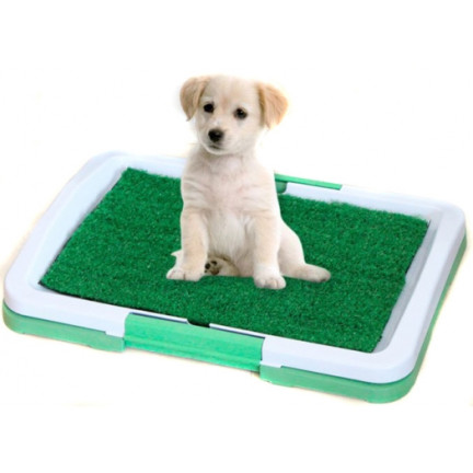 AP52 WELPEN GRAS HUNDEKLO MATTE