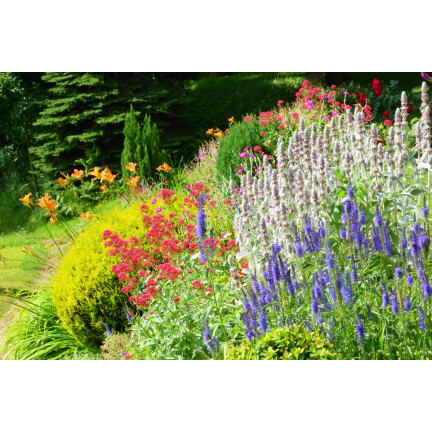 SUM26 SUMIN PLANT FERTILISER 1KG, Düngemittelgranulat, üppige Blüte