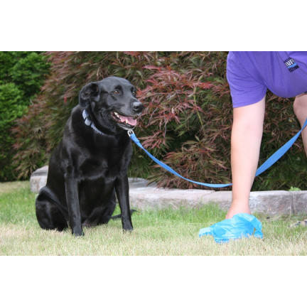 TG67395 Hundehaufenbeutel 375er Pack 25 Rollen