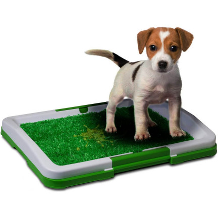 AP52 WELPEN GRAS HUNDEKLO MATTE
