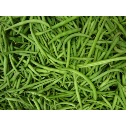 W1046 FAZOLE MUNGO ZELENÉ LUSKY HILDS NECKARKÖNIGIN FAZOLE SEMENA 10G