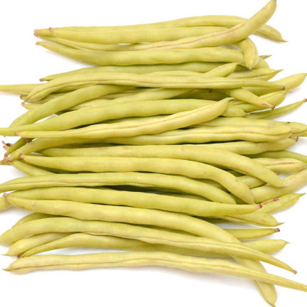 W3587 ZELENÉ FAZOLKY TIC 10G SEMÍNKA FAZOLÍ NECKARGOLD ŽLUTÁ