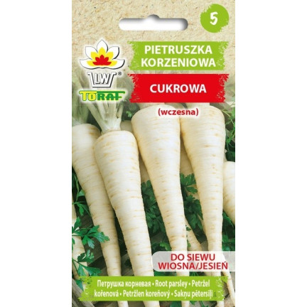 W1148 PETRŽEL KOŘENOVÁ PETRŽEL SEMENA RANÁ ZELENINA 5G