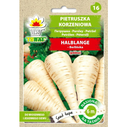 T8005 KOŘENOVÁ PETRŽEL NA PŮLKRUHOVÉ VÝSEVNÍ PÁSCE 6M PETRŽELOVÁ NAŤ