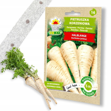 T8005 KOŘENOVÁ PETRŽEL NA PŮLKRUHOVÉ VÝSEVNÍ PÁSCE 6M PETRŽELOVÁ NAŤ