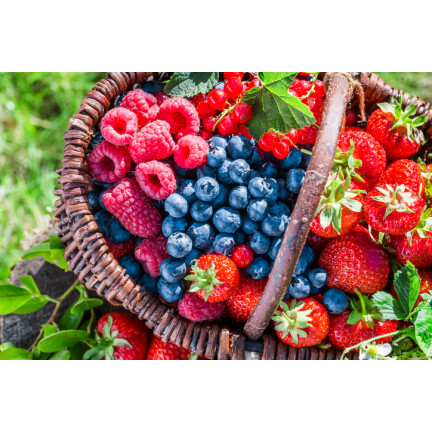 SUM77 Sumin Fertilizer for Strawberries, Wild Strawberries, Raspberries, and Blackberries, Optimal Formula, 1 kg