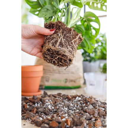 BIO26 Bigos Soil 8L – Light Potting Mix for Indoor Green Houseplants