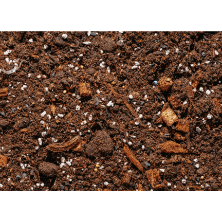 BIO26 Bigos Soil 8L – Light Potting Mix for Indoor Green Houseplants