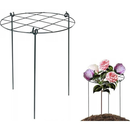 TG60611 BLUMENPFLANZE STÜTZGARTEN MIT NETZGITTER ÜBERWUCHERT