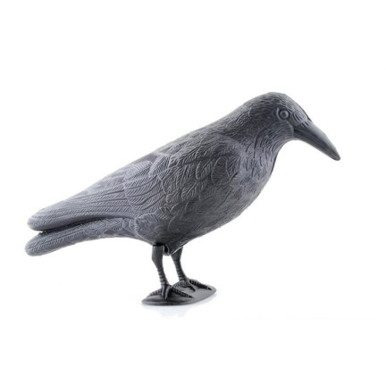 AP8 Large Raven Bird Repeller for Pigeons and Starlings