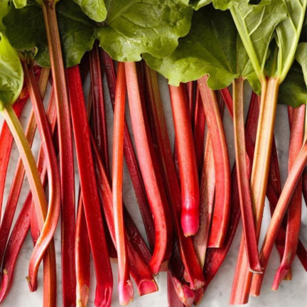 W1184 Rabarbar Victoria Plenny Zimujący Odporny smaczny zdrowy nasiona rabarbaru