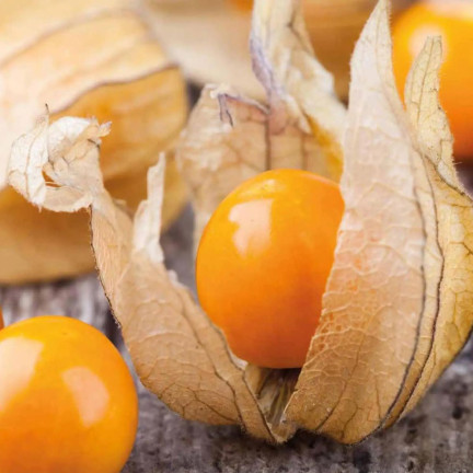 W1185 RODZYNEK BRAZYLIJSKI NASIONA Jagoda inkaska ozdobna jadalna owoce lecznicze