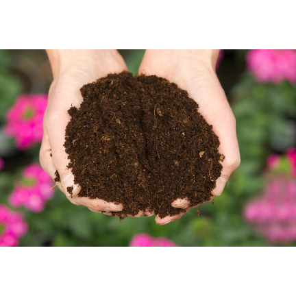 BIO7 BIOVITA UNIVERSALERDE 20L FÜR BLUMEN UND GRÜNPFLANZEN