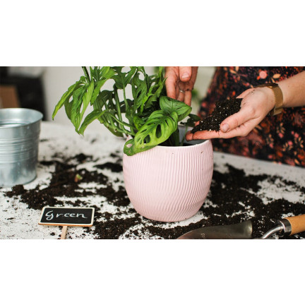 BIO15 BIO-UNIVERSALERDE FÜR BLUMEN PFLANZEN 10L MIT DÜNGER