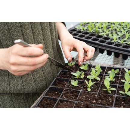 BIO5 SAATBEETE ZUM BEIZEN VON SETZLINGEN MIT KOKOSFASERN 5L