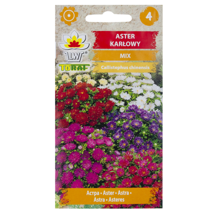 R0371 ZWERG-ASTER-MIX 1G SAMEN SAATGUT-MIX ASTRA FÜR BLUMENBEETE
