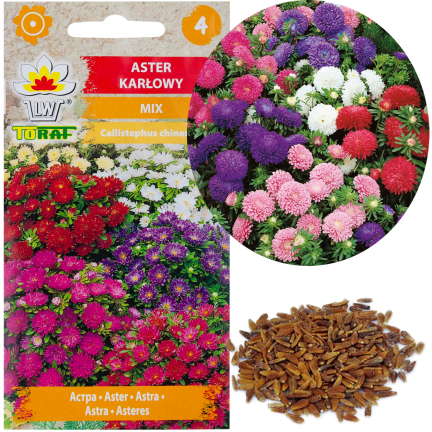 R0371 ZWERG-ASTER-MIX 1G SAMEN SAATGUT-MIX ASTRA FÜR BLUMENBEETE