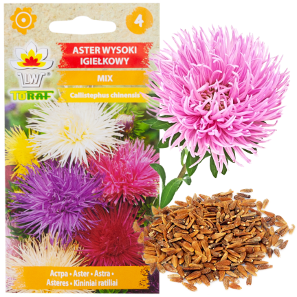 R0425 NEEDLE ASTER TALL MIX COLOR 1 GR SAMEN SCHNITTBLUMEN UND BLUMENBEETE