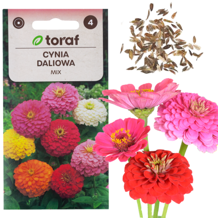 R0487 DALY BLEND 1 GRAM semena řezaných květin pro zahradu