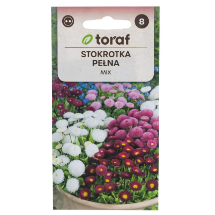 R2573 GÄNSEBLÜMCHEN-MIX SAATGUT 0,2G FARBE BLUMEN
