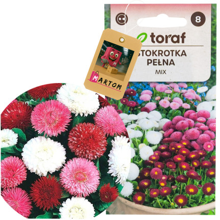 R2573 GÄNSEBLÜMCHEN-MIX SAATGUT 0,2G FARBE BLUMEN
